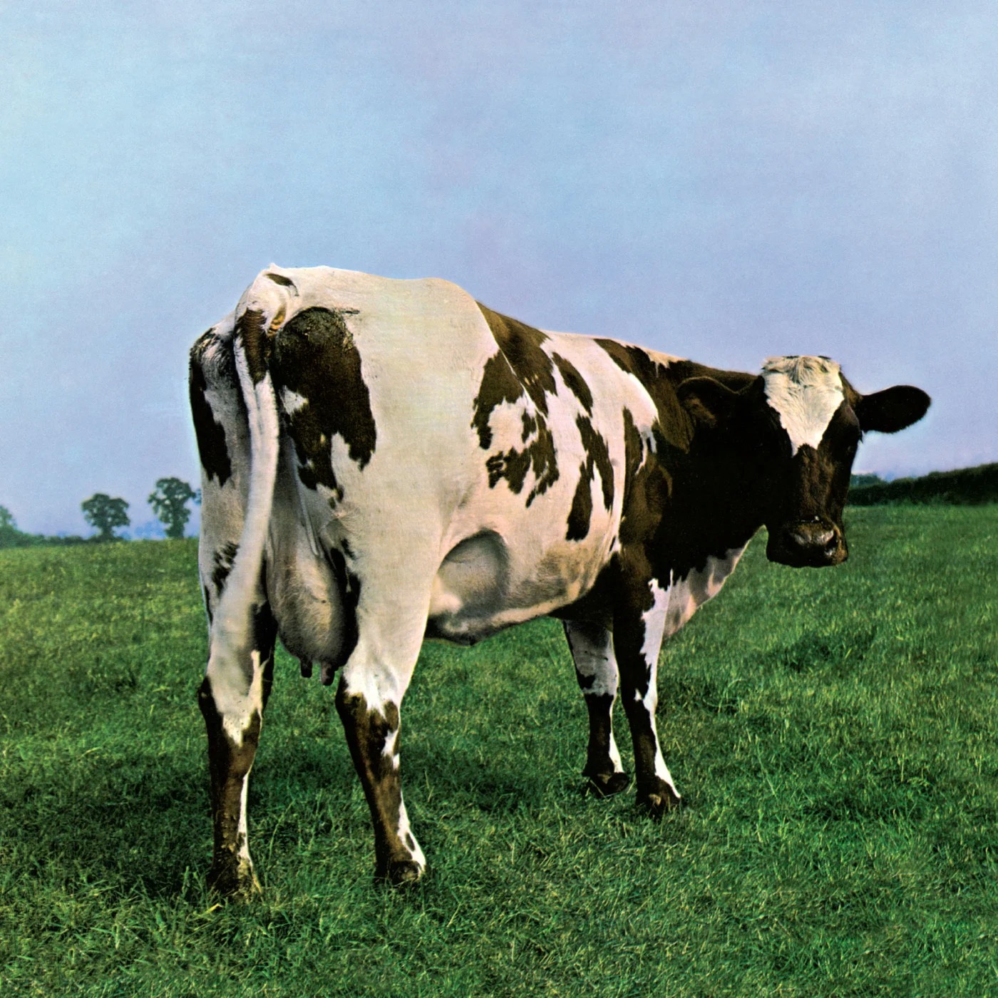 Atom Heart Mother album cover