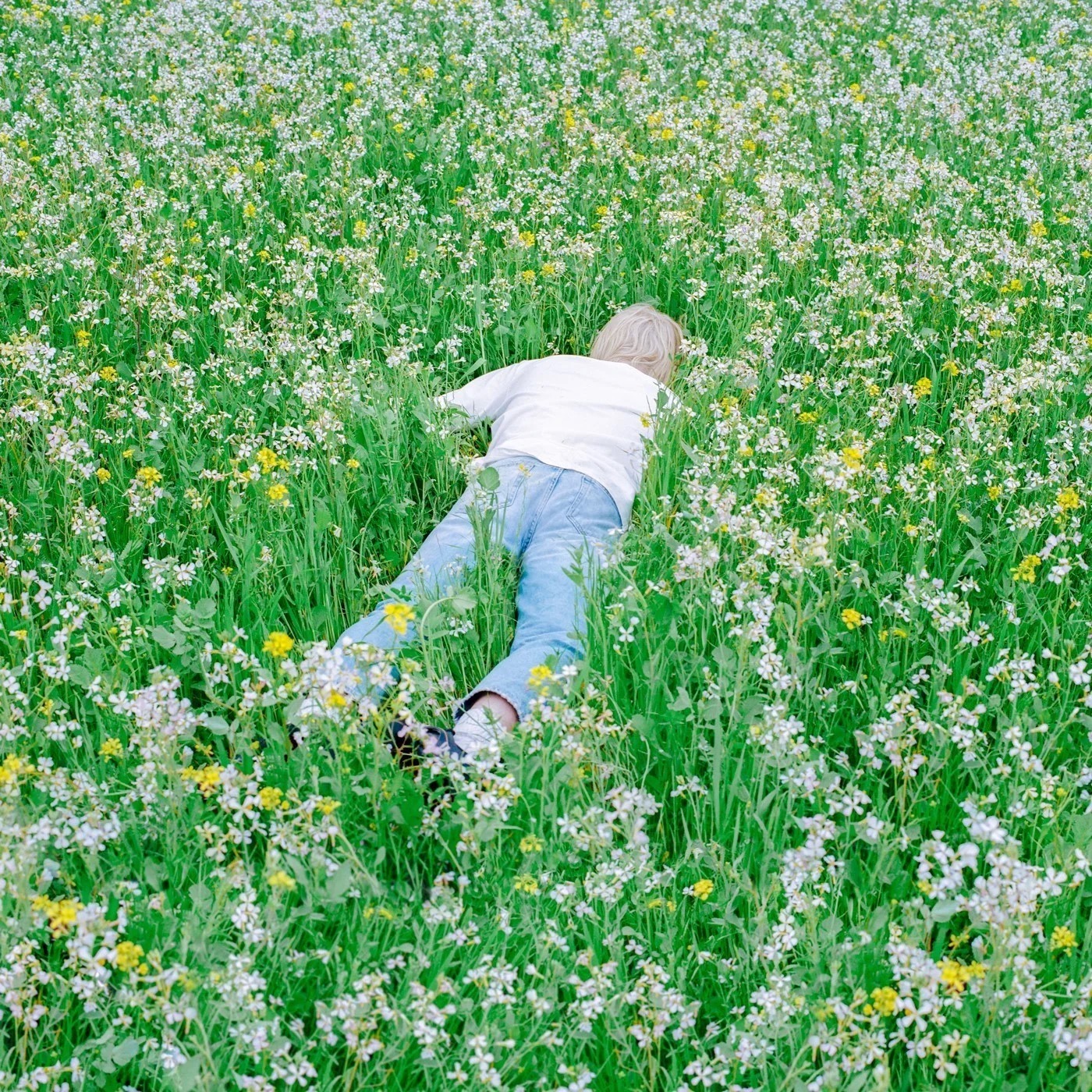 Nurture album cover